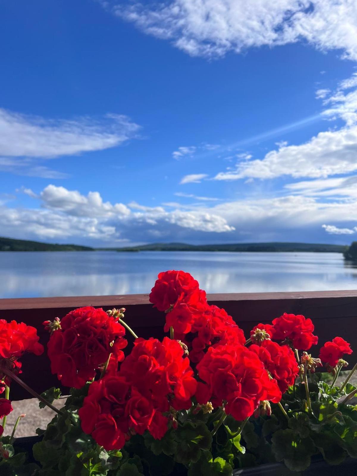 Jauri Resort Kemijärvi Esterno foto